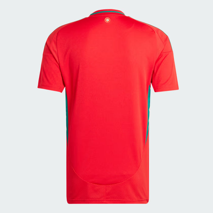Wales Adult Home Jersey 2024