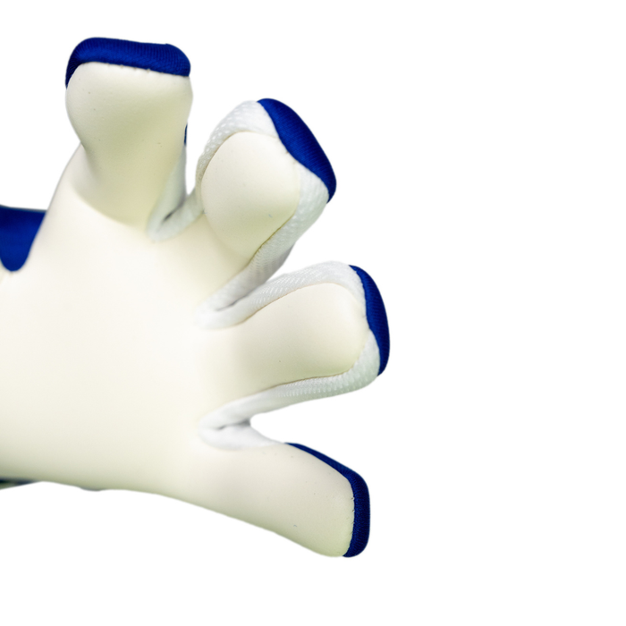 Reusch Fastgrip Advance GK Gloves (Sharp Blue/White)