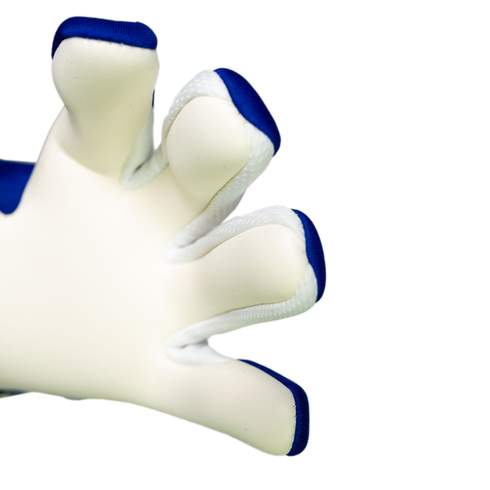 Reusch Fastgrip Advance Junior GK Gloves (Sharp Blue/White)