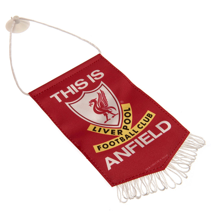 Liverpool TIA Mini Pennant