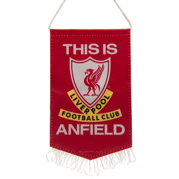 Liverpool TIA Mini Pennant