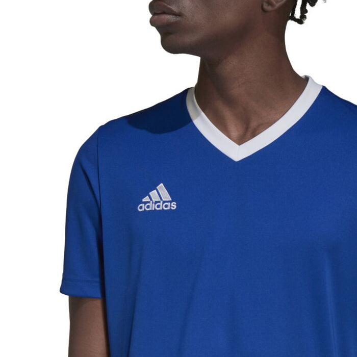 Adidas Adult Entrada 22 Jersey (Royal/White)