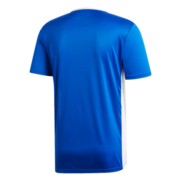 Adidas Youth Entrada 19 Jersey (Blue/White)