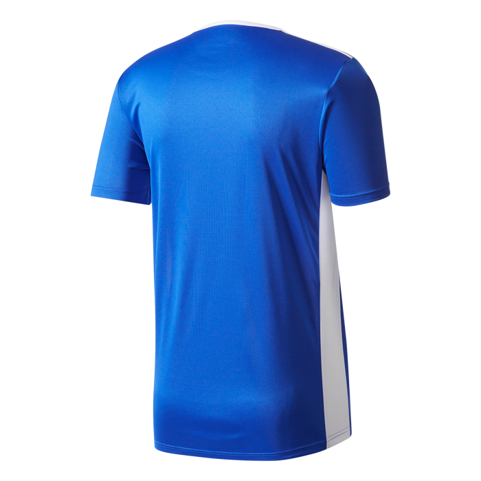 Adidas Youth Entrada 19 Jersey (Blue/White)
