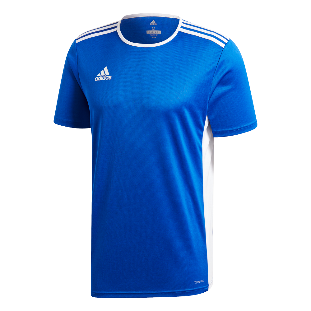 Adidas entrada 19 clearance